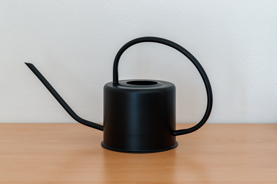 Electric_kettle